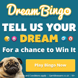 Dream Bingo Casino Dream Bingo Casino